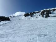 Descent from Piz Scalottas