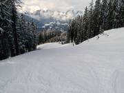 Sport downhill run