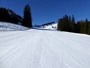 Dreitannenhang