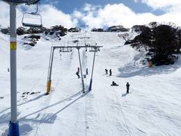 Blaxland T-Bar