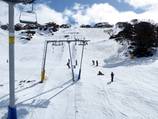 Blaxland T-Bar