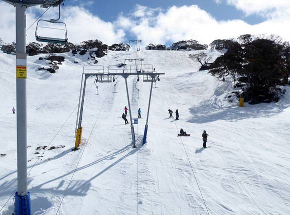 Blaxland T-Bar