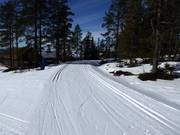 Trail in the Idre Fjäll ski area