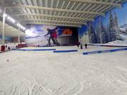 Beginner slope in the lower part of the ski hall