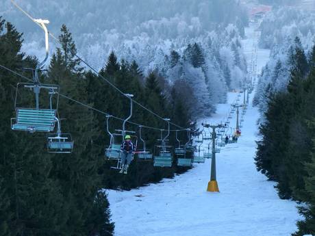 Upper Palatinate (Oberpfalz): best ski lifts – Lifts/cable cars Hohenbogen – Neukirchen bei Hl. Blut