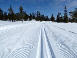Trysil