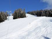 Peheim descent FIS course homologated