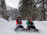 New toboggan run in Meriz