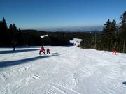 Easy slope Hinterwies