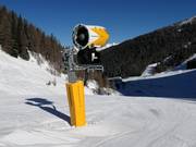 Modern snow cannon