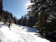Skiing close to nature without stress