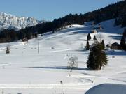 Cross-country trails in Wildhaus