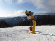 High-performance snow cannons in the Hochficht ski area