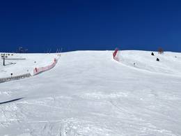 Alpe Lusia – Moena/Bellamonte