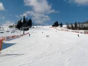 The easy slope of Witów