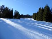 Kurvenlift descent