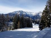 Easy slope Seehof