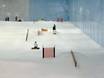 Snow parks Asia – Snow park Ski Dubai – Mall of the Emirates