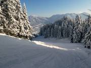 Family slope to Wegscheid
