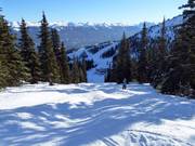 Challenging mogul slope No. 16 Highway