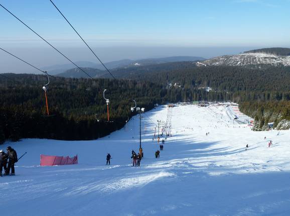 Mehliskopf 1 - T-bar