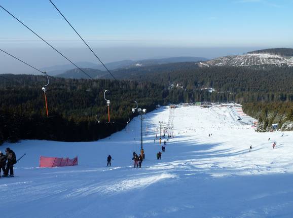 Mehliskopf 1