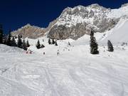 Hochfeldern Run (No. 11)