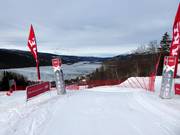 SkiCross Åre