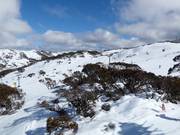 View over Falls Creek's Sun Valley