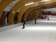 Ice Mountain 2 - Rope tow/baby lift with low rope tow