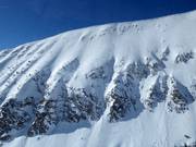 The Gullies