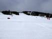Ski resorts for beginners in Capitale-Nationale – Beginners Le Massif de Charlevoix