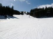 Bull Run downhill