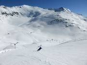 View from Alteck to the glacier