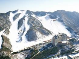 Ski resort Yangji Pine Resort