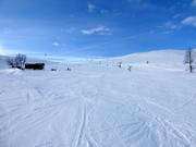 Runs at Storkläppen