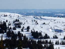 Lunnstadheisen (K)