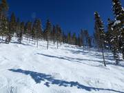 Mogul slope HLH