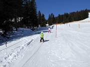 Teddy-Seillift Kinder-Lachtal - Rope tow/baby lift with low rope tow