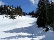 Northlands downhill run