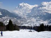 View of Grindelwald