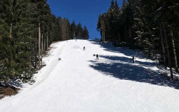 Ski resorts for advanced skiers and freeriding Ústí nad Labem Region (Ústecký kraj) – Advanced skiers, freeriders Klínovec (Keilberg)