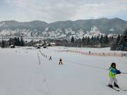 Altweglift - Rope tow/baby lift with low rope tow