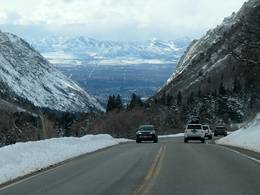 Snowbird