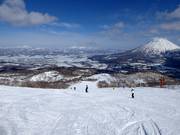 Intermediate slope Center (Grand Hirafu)