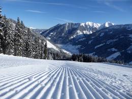 Riesneralm – Donnersbachwald
