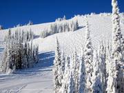 View of the mogul slopes Headwalls, Sacred Line, and Hat Trick