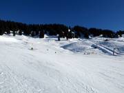 Uisar and Mulde run