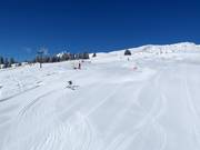 Skimovie