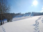 Fahlenscheid - view of the upper slope